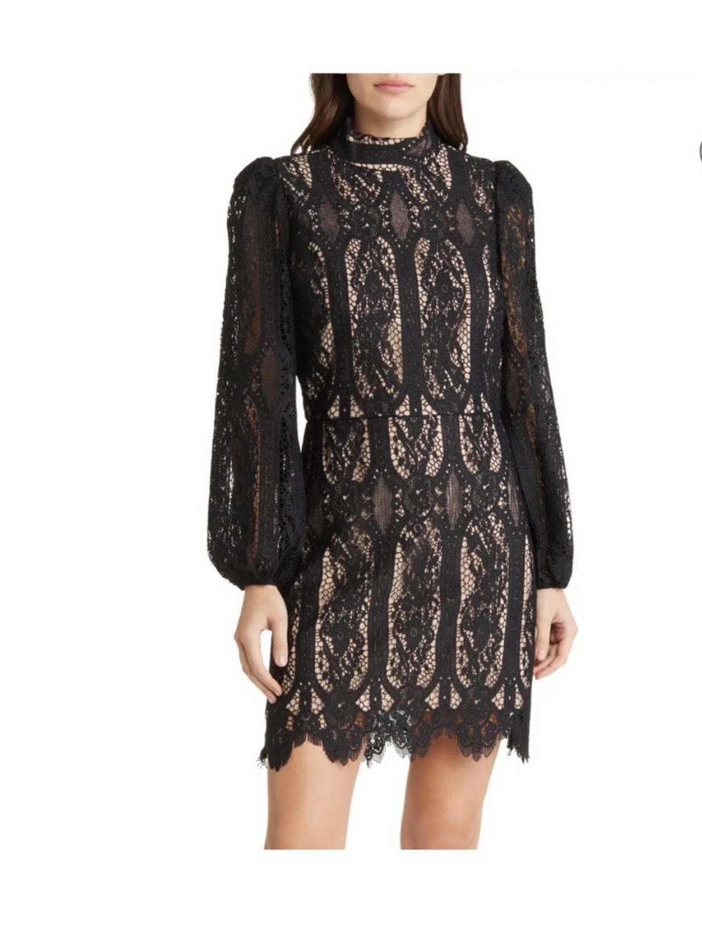 Chelsea28 Black Lace Long-Sleeve Mini Dress with Nude Underlay